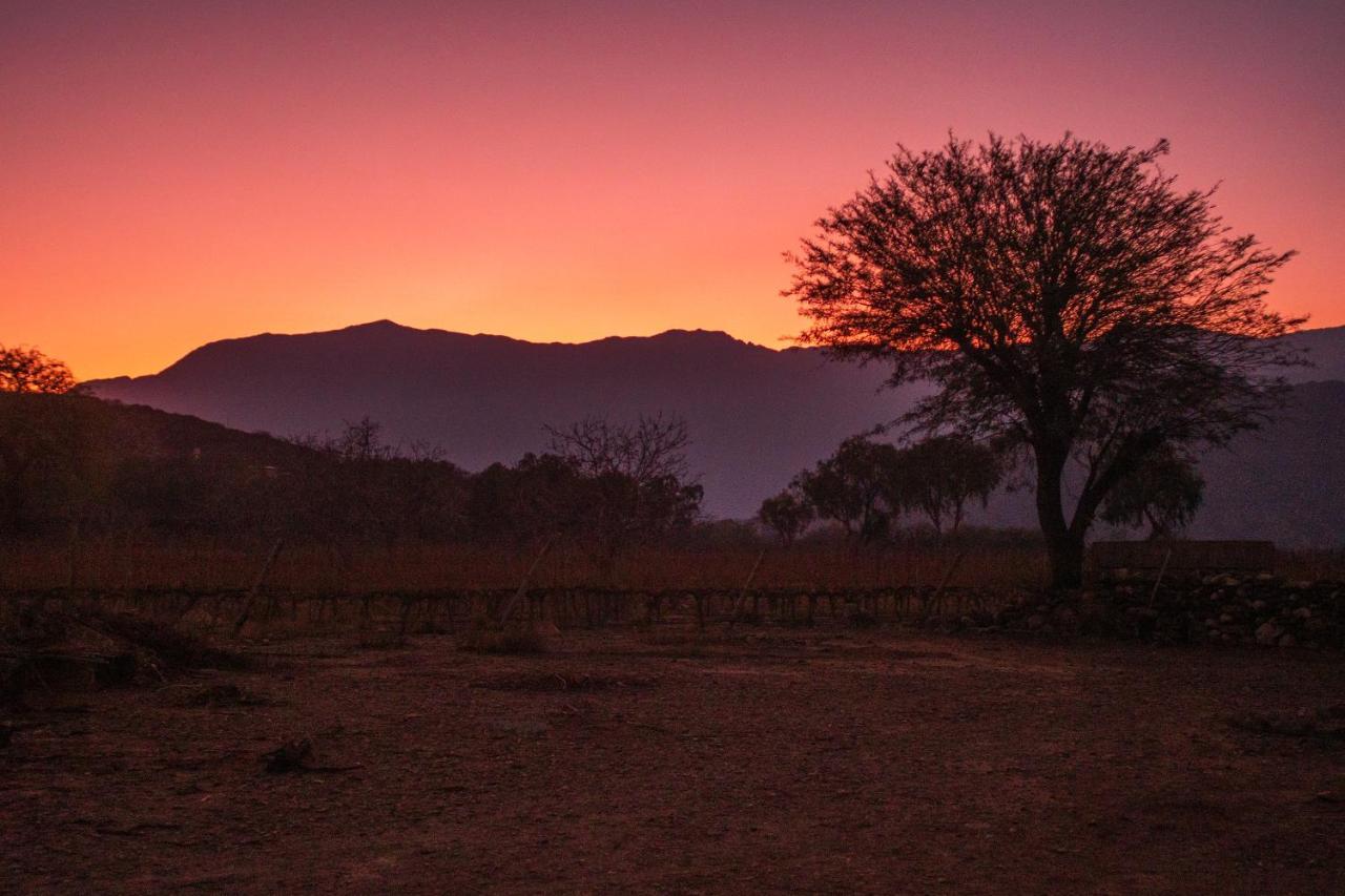 Hospedaje Finca La Encantada Seclantás Dış mekan fotoğraf