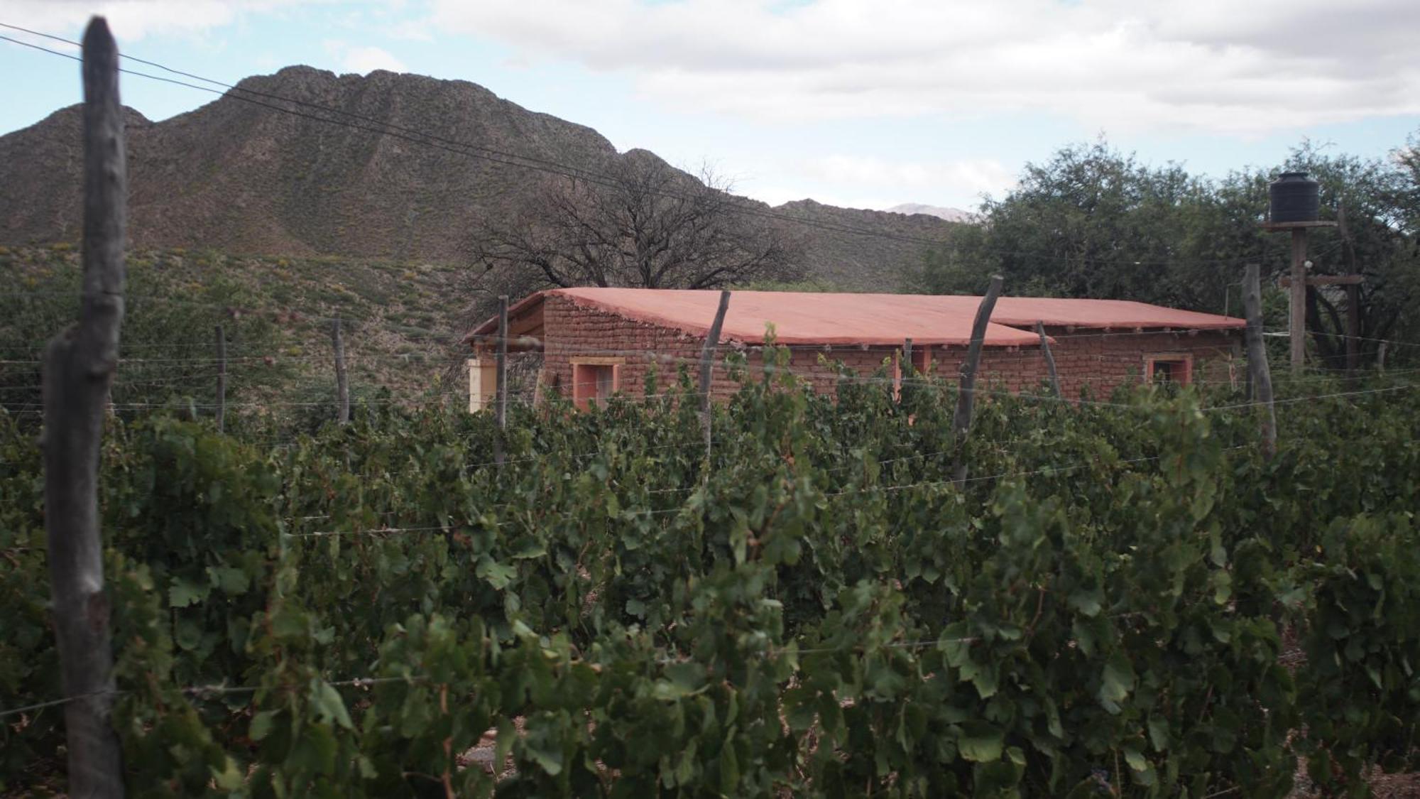 Hospedaje Finca La Encantada Seclantás Dış mekan fotoğraf